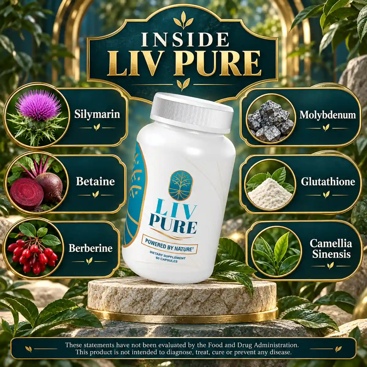 The seller’s INSIDE LIV PURE listing panel: a Liv Pure bottle on a stone plinth with six ingredients named around it, silymarin, betaine and berberine to the left, molybdenum, glutathione and camellia sinensis to the right